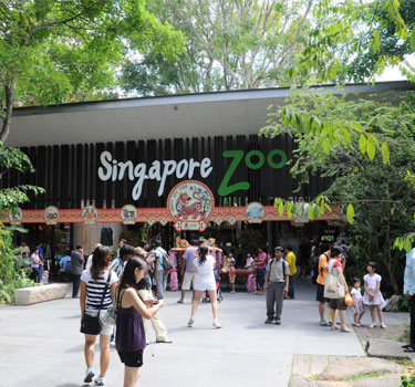 Singapore Zoo