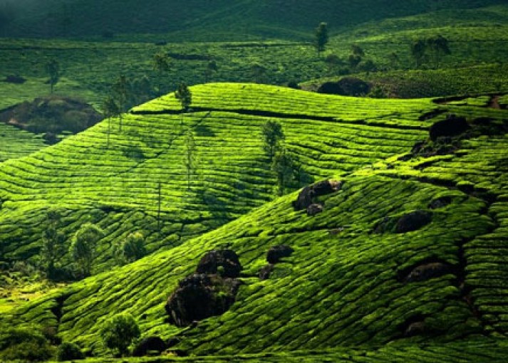 Munnar Hill Station